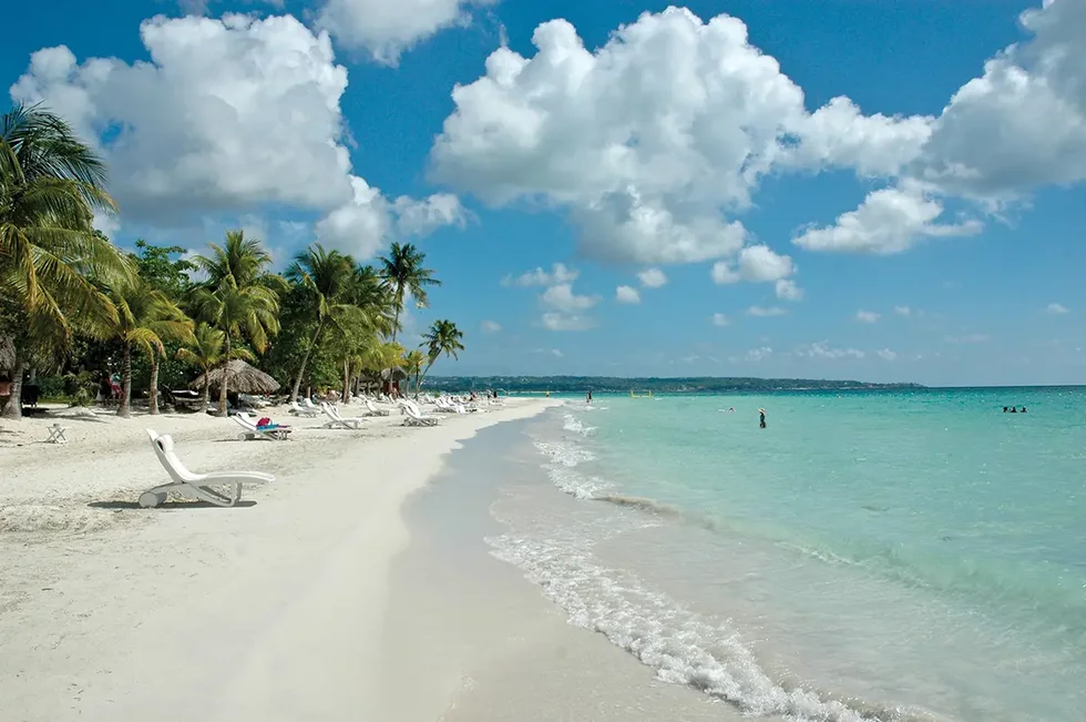 3565297670_8f6a8ebd61_o_MichaelMcCarthy.webp