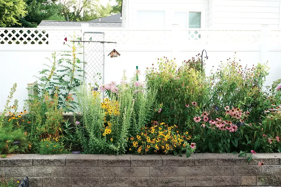 How to grow a beautiful garden in St. Louis