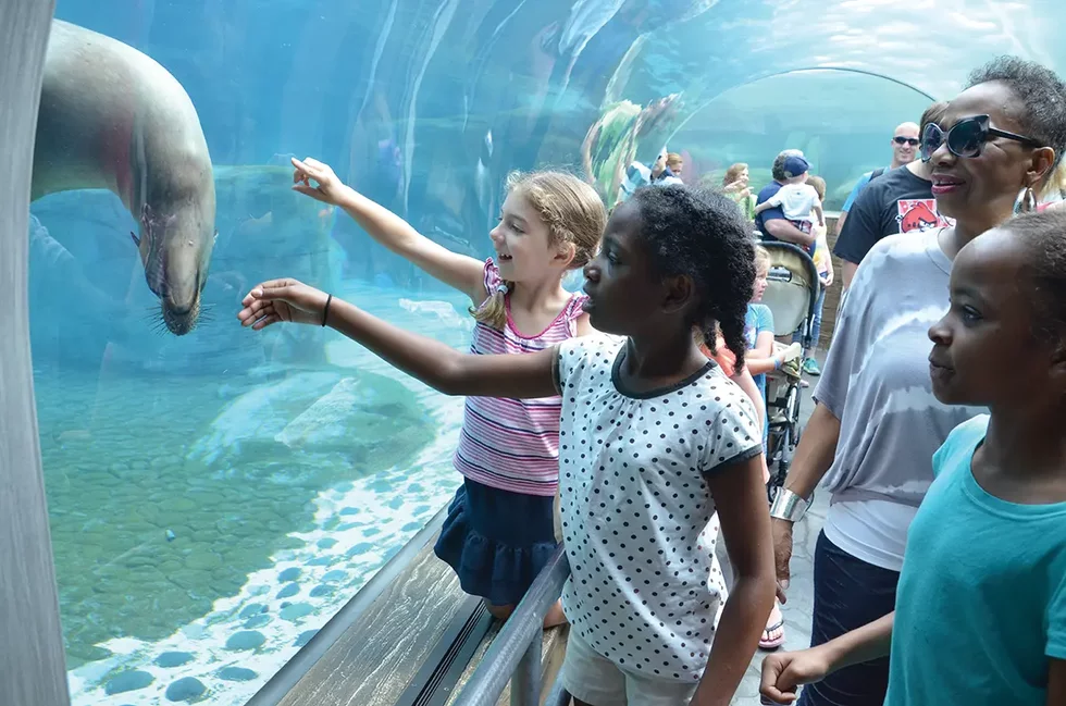 Your guide to visiting the Saint Louis Zoo