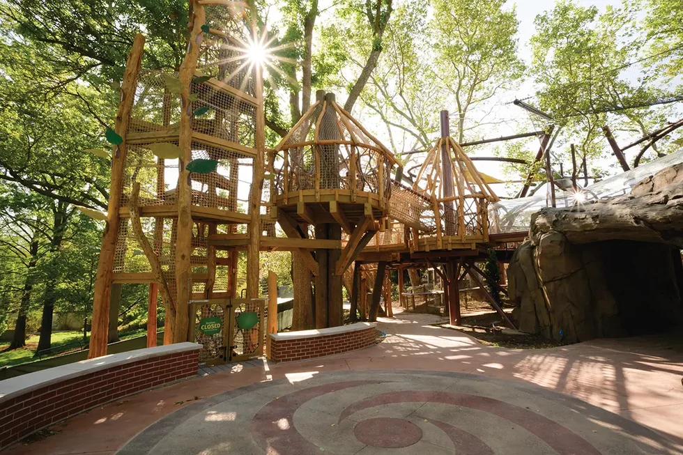 1_Primate%20Canopy%20Trails_climbing%20structure_photo%20by%20Ray%20Meibaum%20Saint%20Louis%20Zoo_May%202021.webp