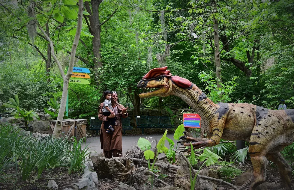 Emerson%20Dinoroarus_Guests%2022.51_credit%20JoEllen%20Toler%20Saint%20Louis%20Zoo.webp