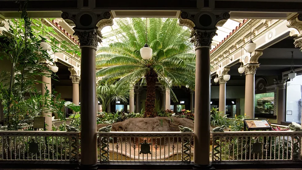 Charles%20H.%20Hoessle%20Herpetarium_Ray%20Meibaum%20Saint%20Louis%20Zoo.webp
