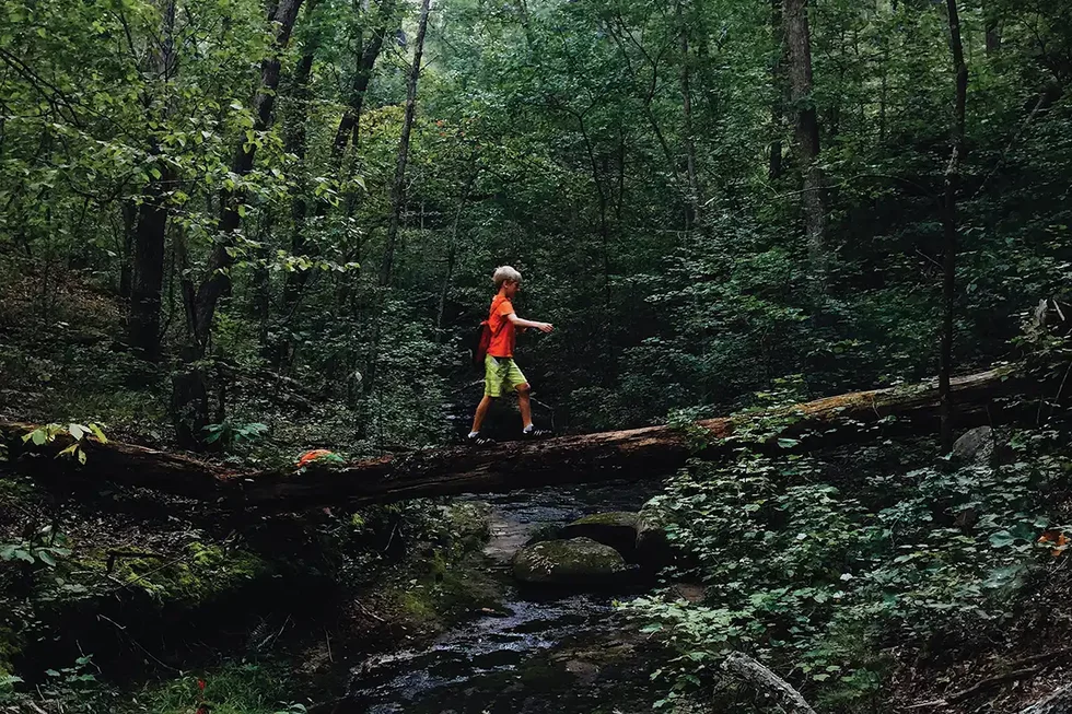 Rockwoods_Reservation_byASHLEY%20FLEMING.webp