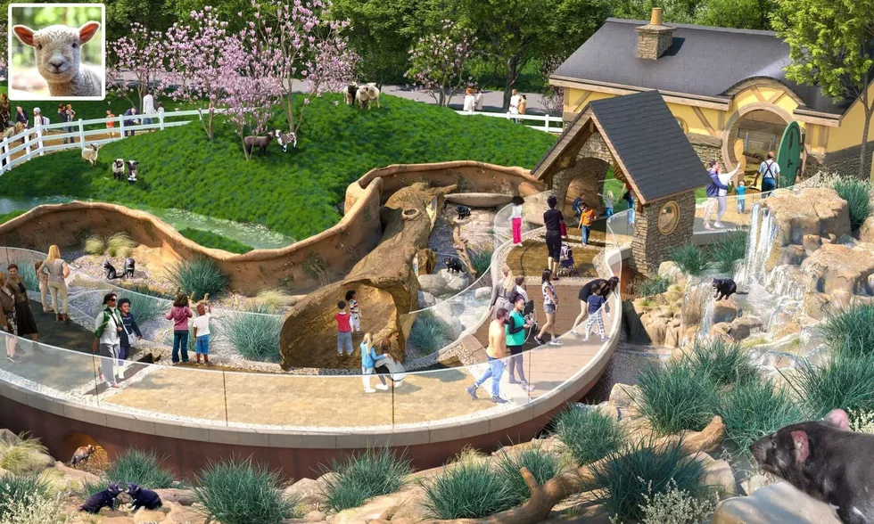 Saint Louis Zoo announces a new family attraction with bonkers-looking Tasmanian devil, sheep, and otter habitats