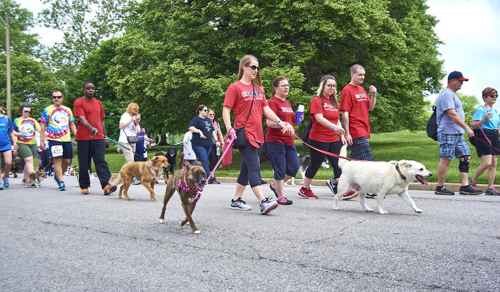 HSMO_BarkPark2a_May19_2018BIZ_6616.jpg