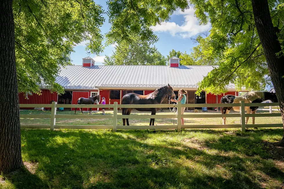 20230626_LongviewFarmPark_0267.webp