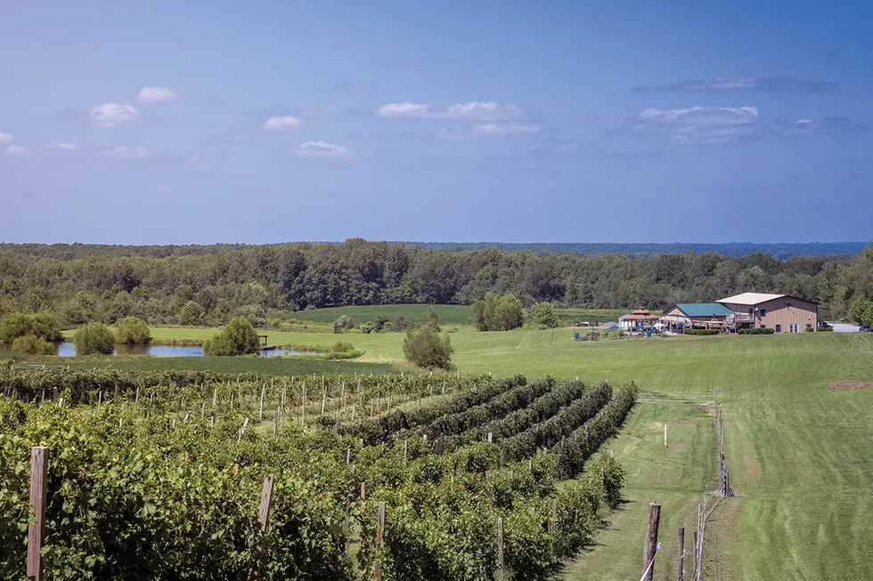 20230819_HonkerHillWinery_0218.webp