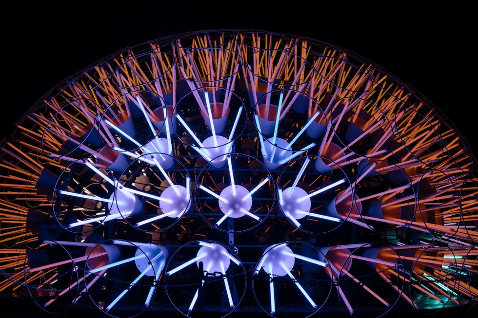 Lights%20On%20Stratford%20-%20Dandelion%20pic2.jpg