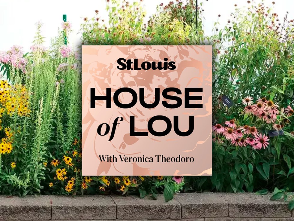 house-of-lou-ep-3-header.jpg