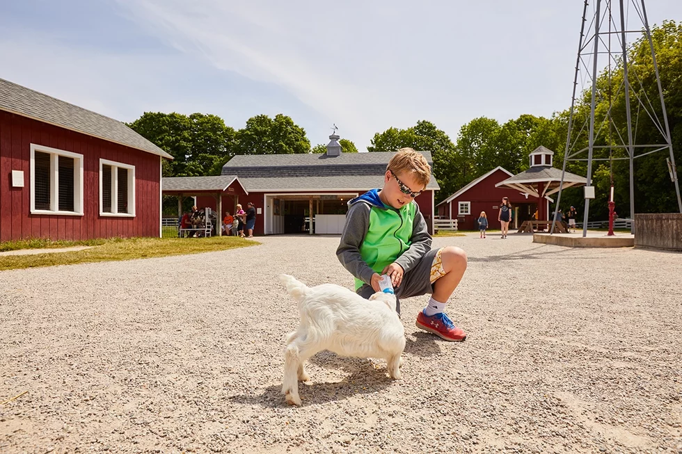 2018-06-07%20-%20John%20Nienhuis%20-%20The%20Farm%20-%20300.webp