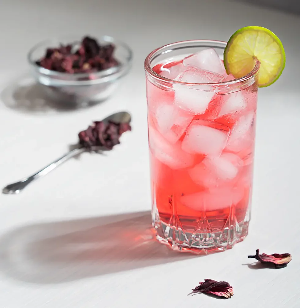 How to make a perfect Gin and Tonic