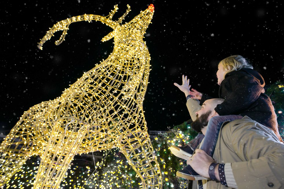 Jingle%207%20-%20credit%20Enchant%2C%20%C2%A92023%20Enchant%20Christmas%2C%20LLC.jpg