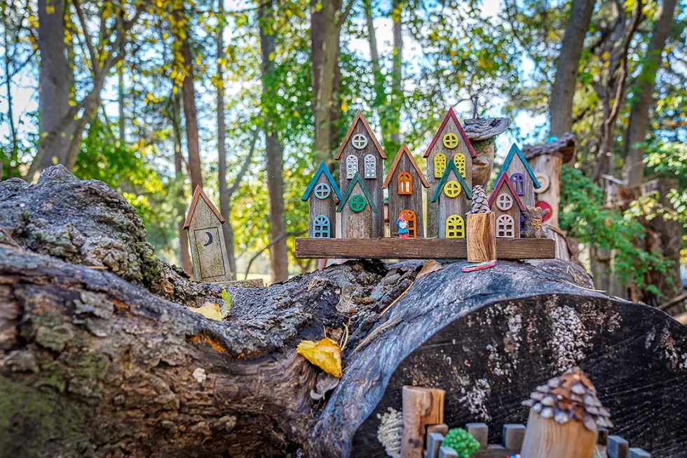 The trail that outlines Faust Park's Whimsical Woods is dotted by handmade fairy houses.