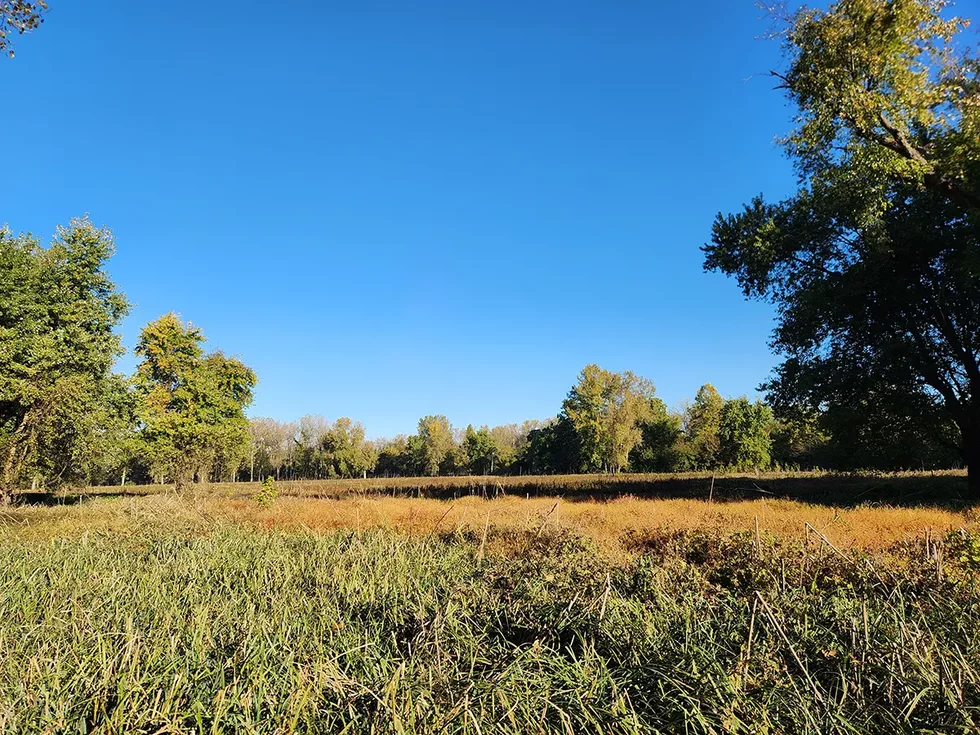 PelicanIsland5_outdoors.webp