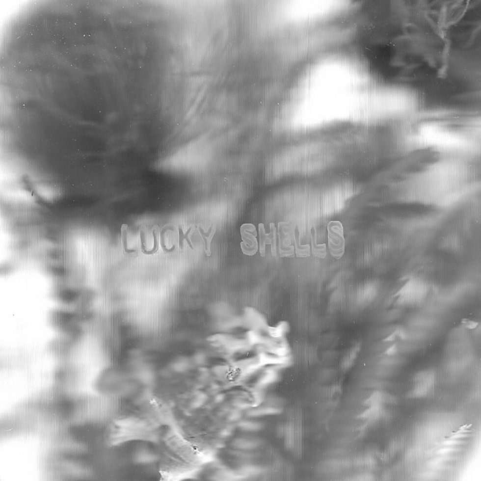 lucky%20shells%20cover.jpg